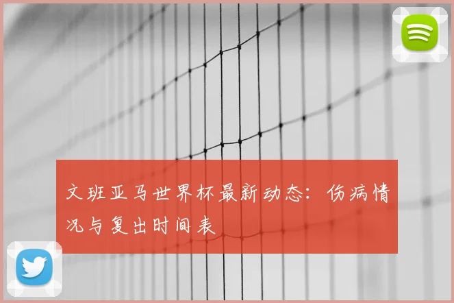 文班亚马世界杯最新动态：伤病情况与复出时间表